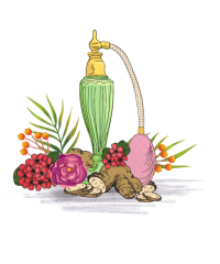 عطور للجنسين