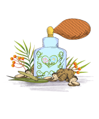 العطور الرجالية